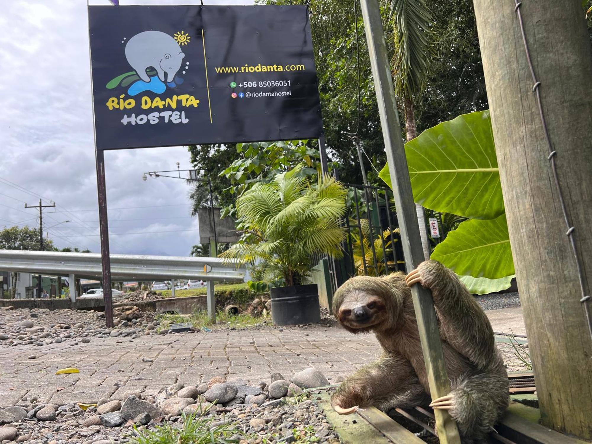 Rio Danta Hostel La Fortuna Екстериор снимка